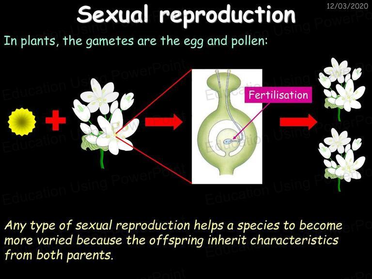 9A Inheritance and Selection | Education Using Powerpoint