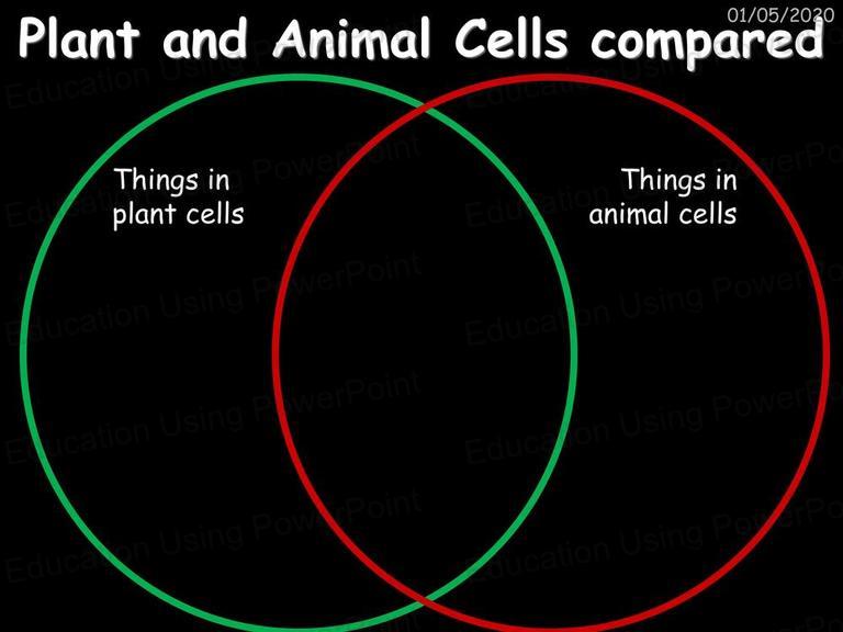 Biology 1 - Cell Biology | Education Using Powerpoint Biology 1 - Cell Biology | Education Using Powerpoint