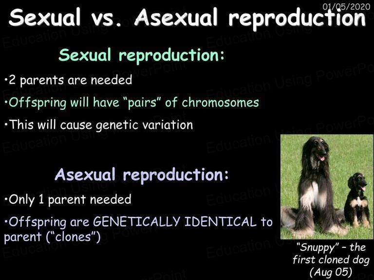 Biology 6 - Inheritance, Variation and Evolution | Education Using  Powerpoint